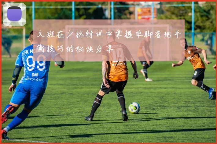 文班在少林特训中掌握单脚落地平衡技巧的秘诀分享